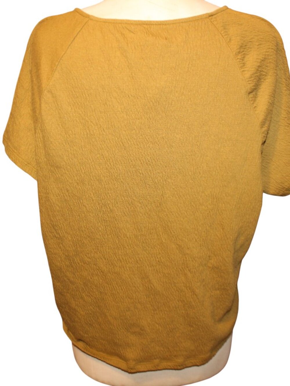 NWT MADEWELL Knit Lightspun Ruched-Front Crop Top in the color Spiced Olive - Picture 7 of 9